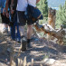 Weekend Warriors: Hiking the Pacific Crest Trail // MountainHikingSite.com